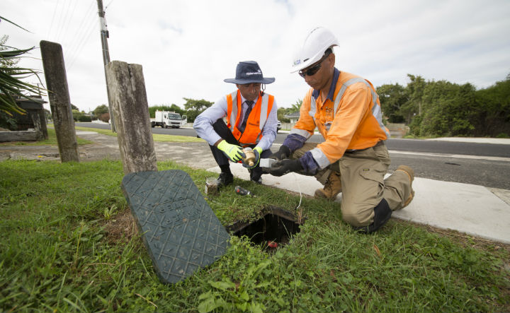 Two Watercare workers reading a water meter that is set in the ground